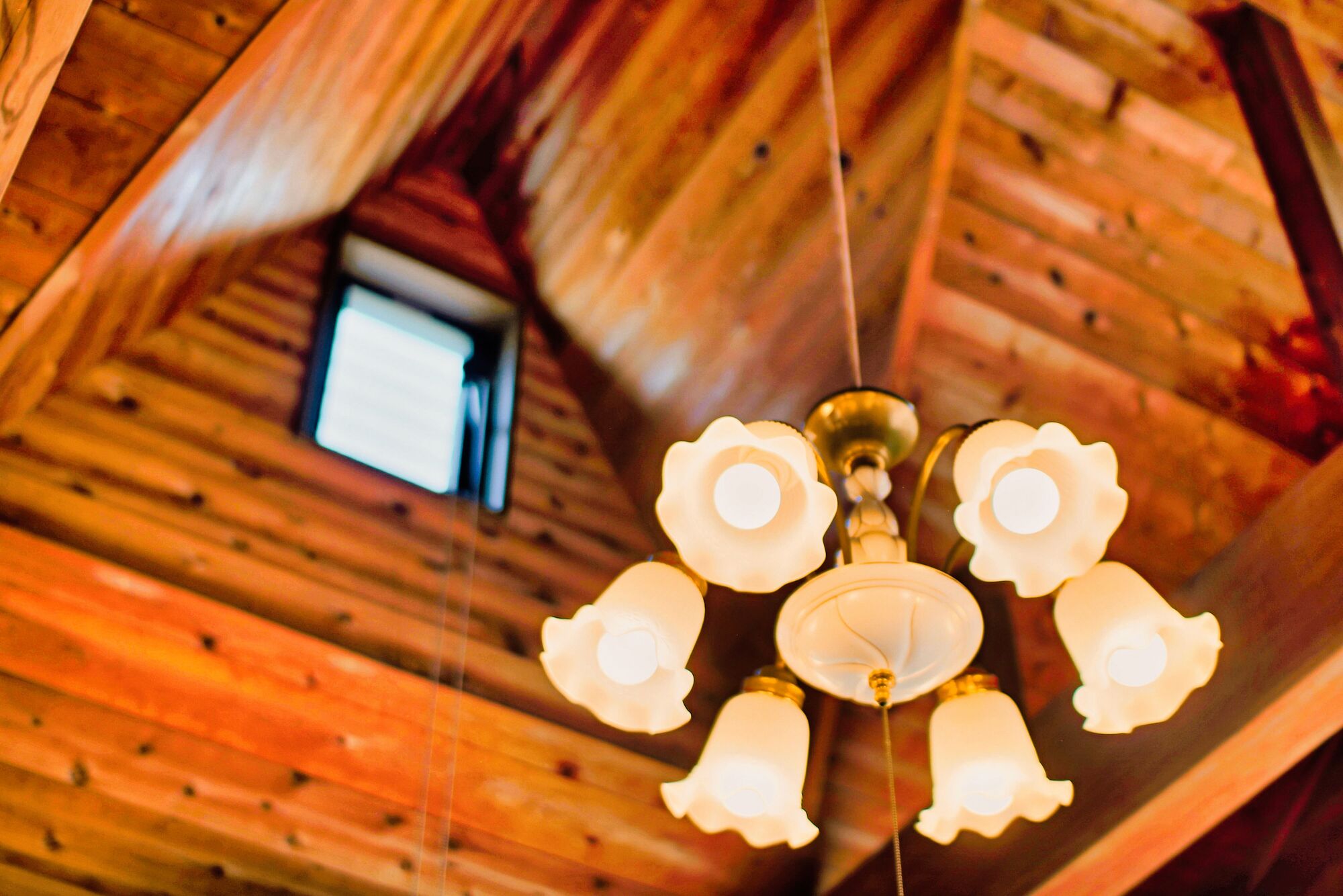 LOGHOUSE｜可愛いコンパクトサイズの三角形のお家♪｜勝浦市